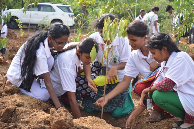 ktrappealspeopletoparticipateinharithaharam